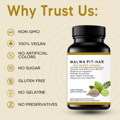 Malwa PIT-HAR | 100% Natural Ayurvedic Tablets
